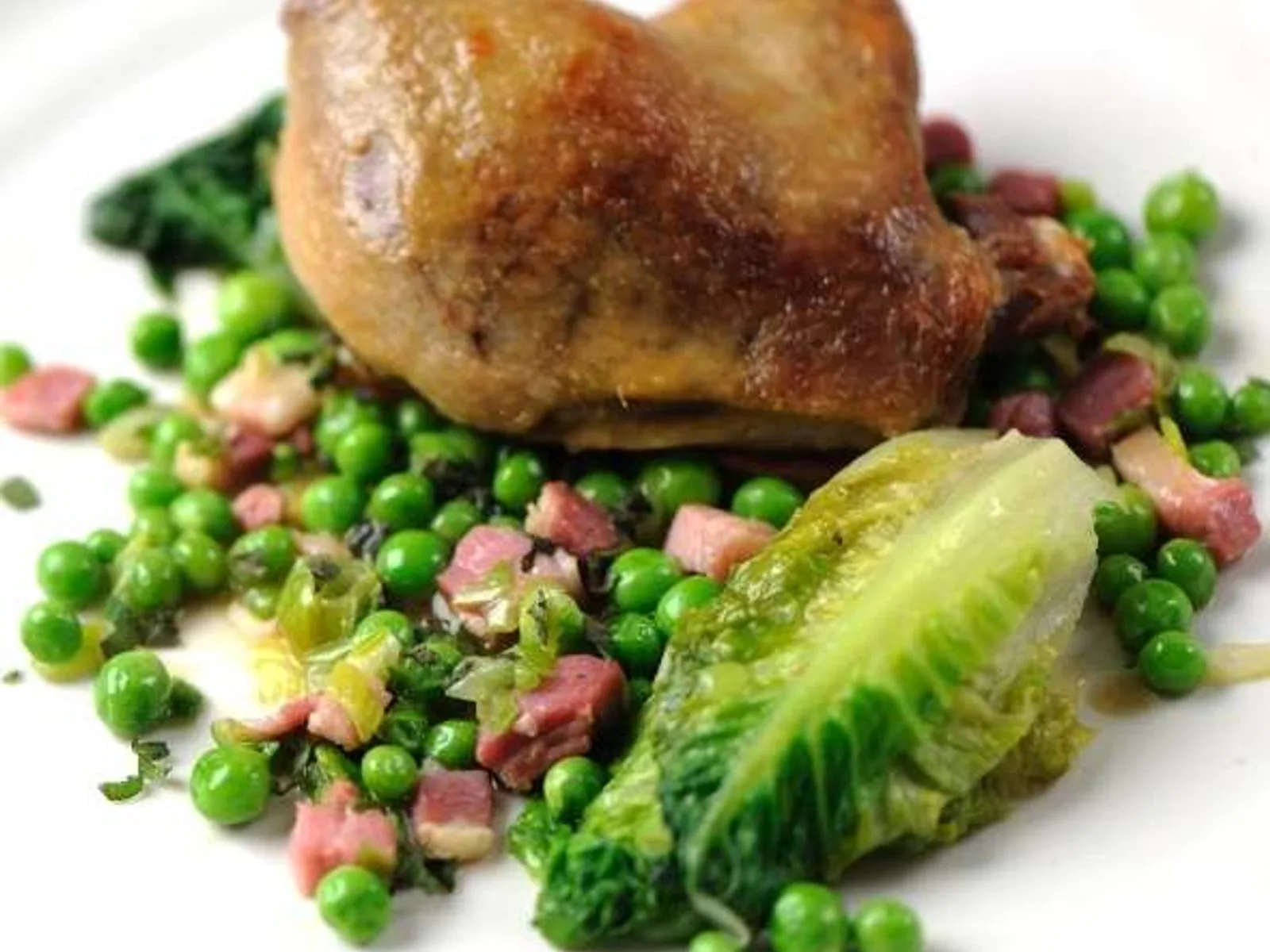 Curry duck with dhalpuri